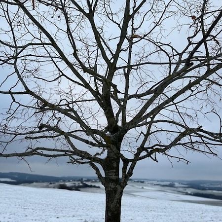 Eifel-Bau-Traum Schlich Villa Wershofen Eksteriør bilde