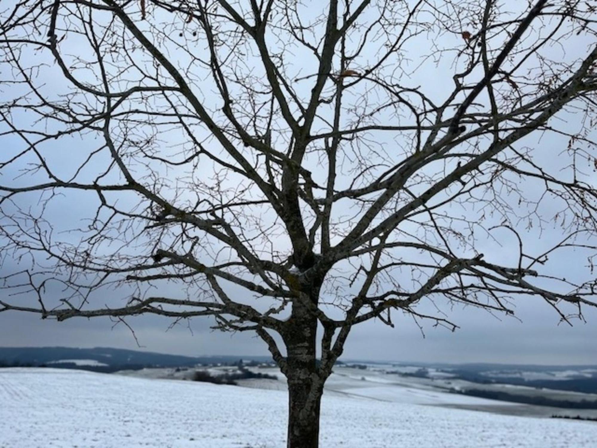 Eifel-Bau-Traum Schlich Villa Wershofen Eksteriør bilde